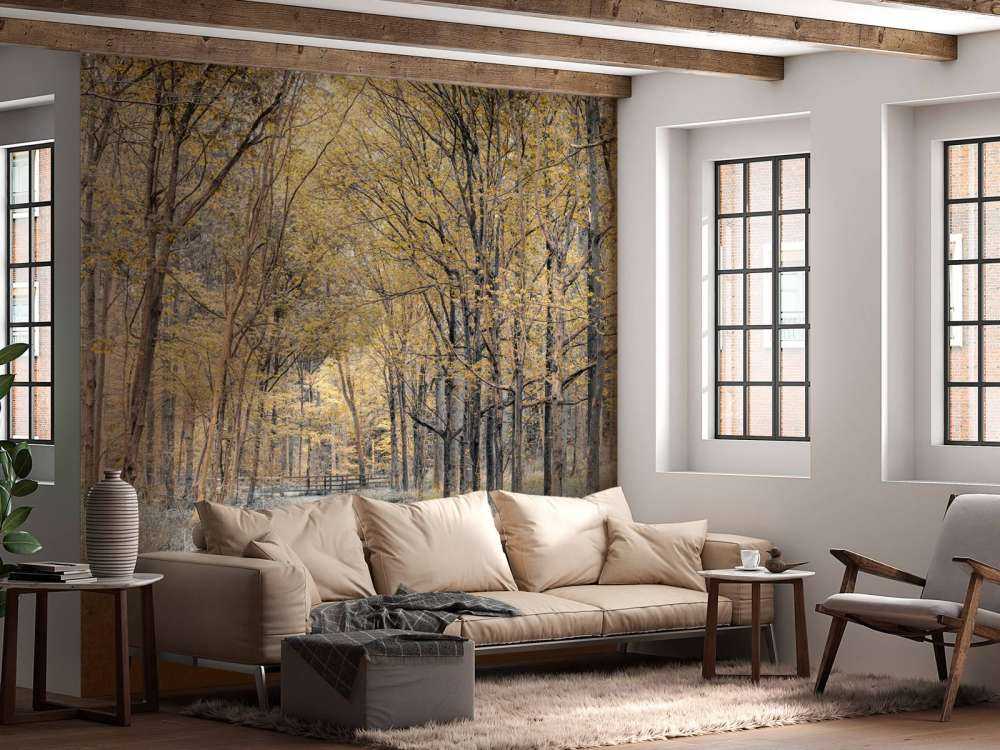 Bosweg tijdens de herfst