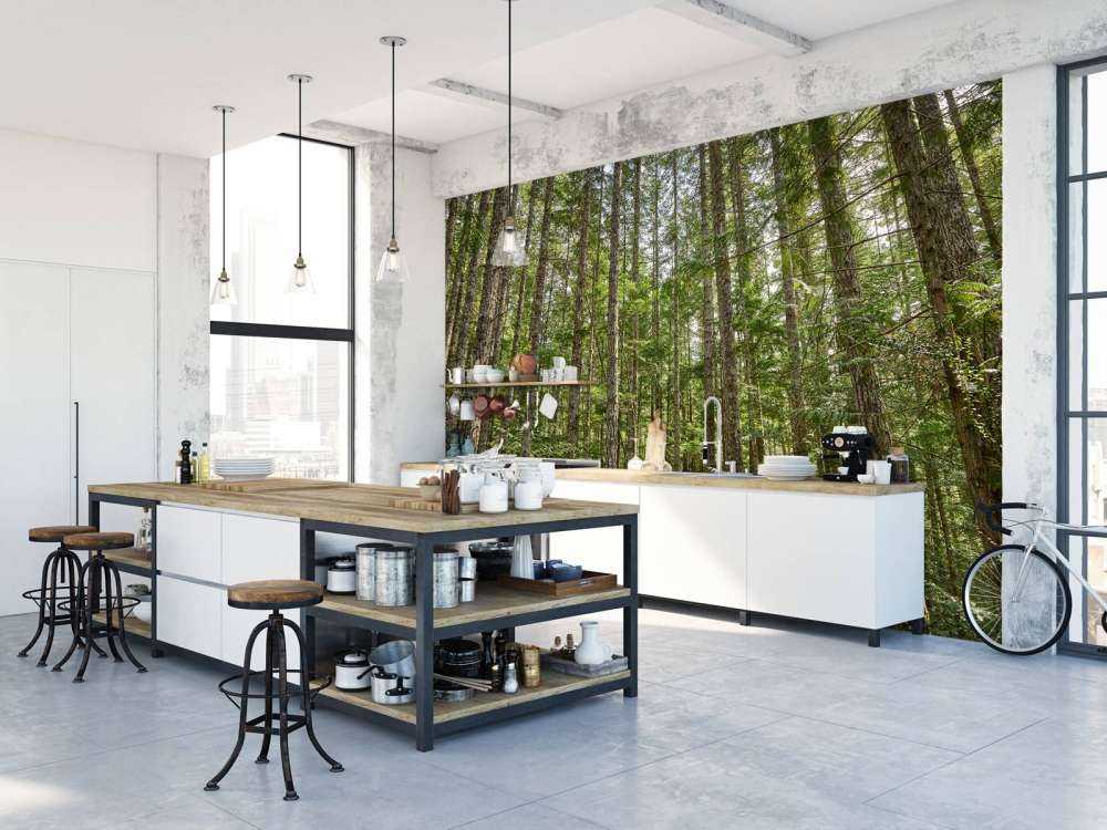 Dunne bomen in het bos