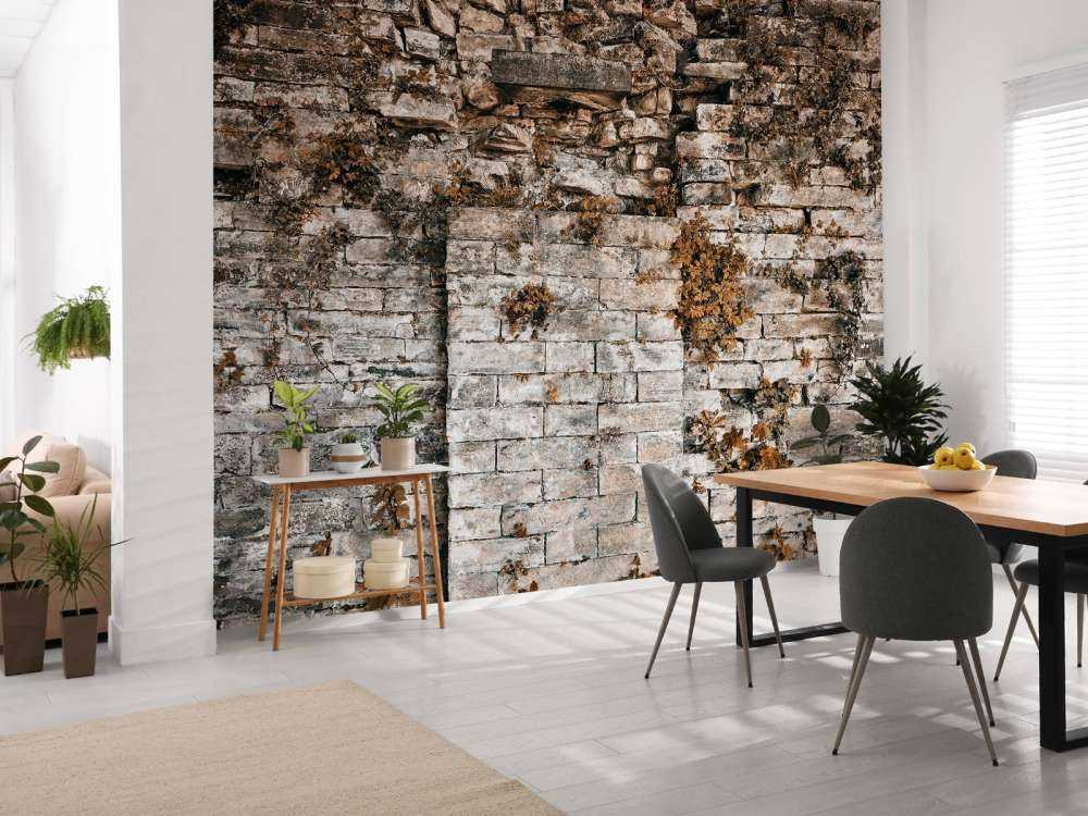 Begroeide muur in de herfst