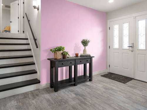Koningin roze beton