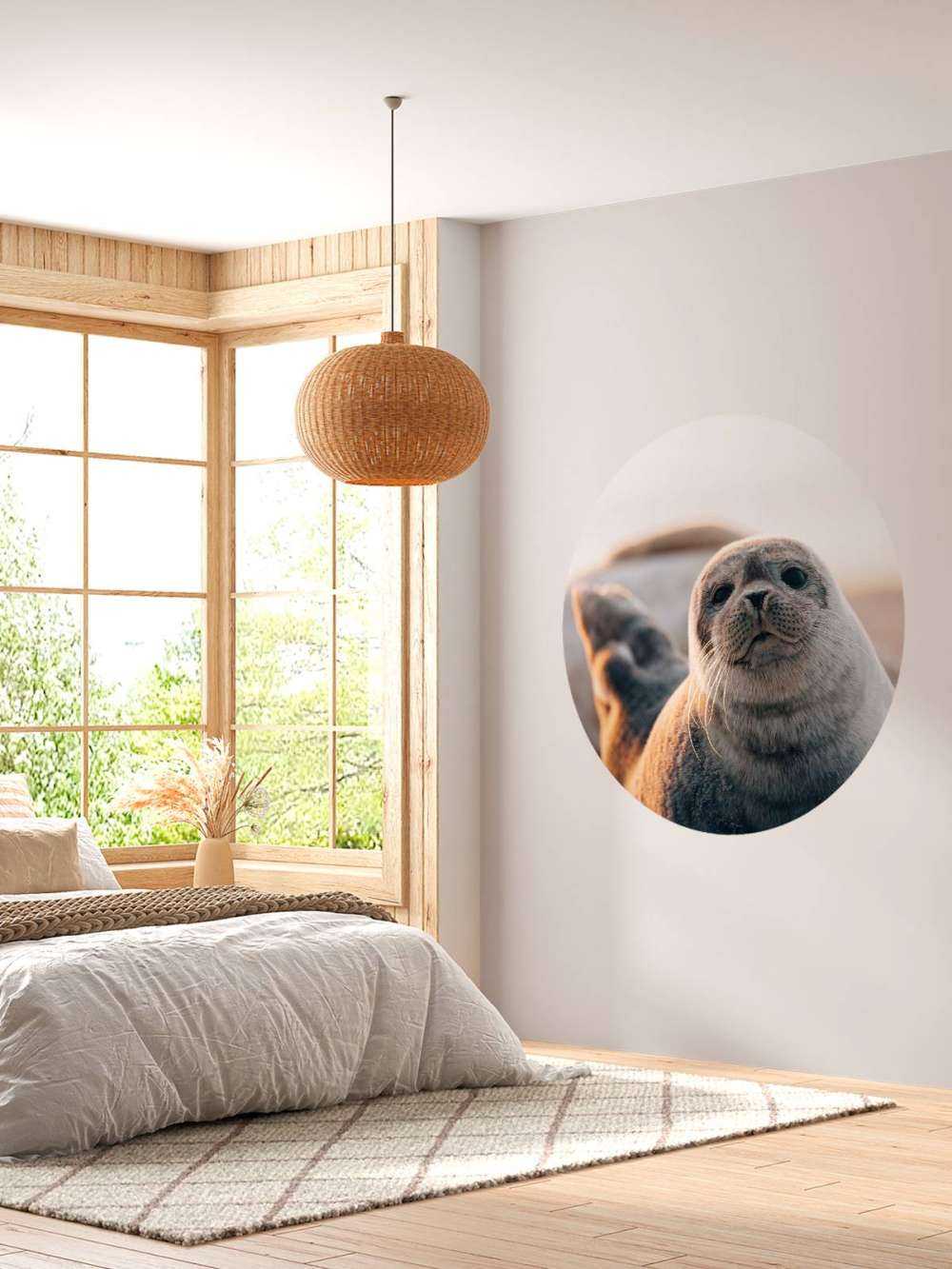 Zeehond op strand in avondlicht