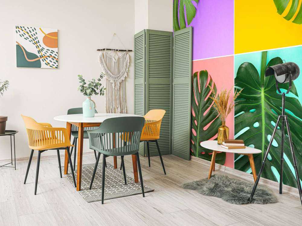 Plant met verschillende kleuren