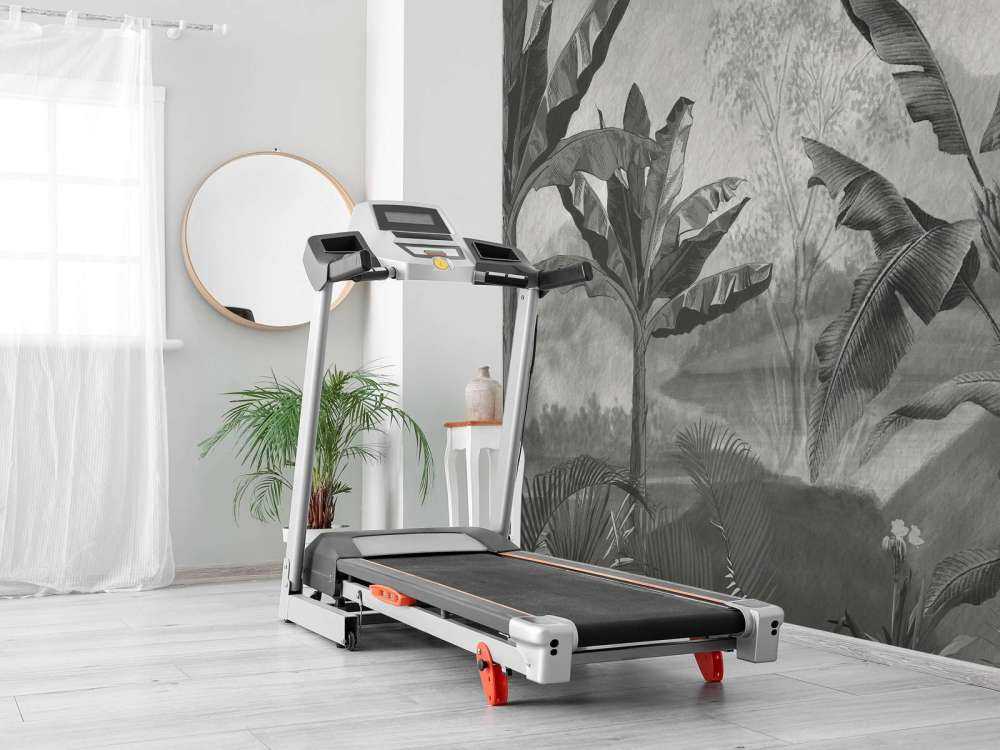 Bananen bomen in zwart-wit