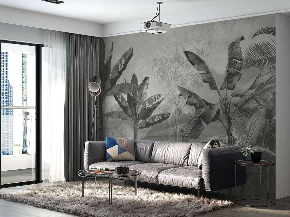 Bananen bomen in zwart-wit