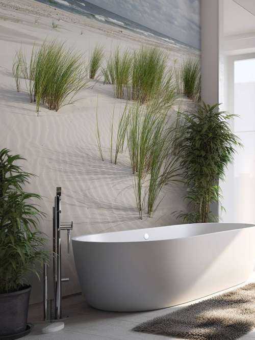 Strand met duinplanten