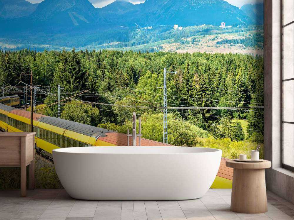 Trein door een bos in Slowakije