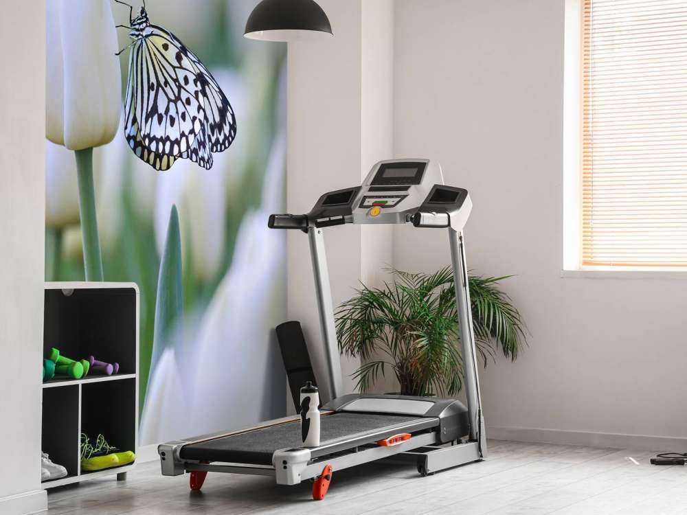 Vlinder op een witte tulp