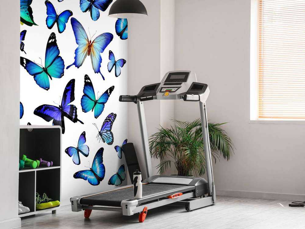 Blauw-paarse vlinders met een witte achtergrond