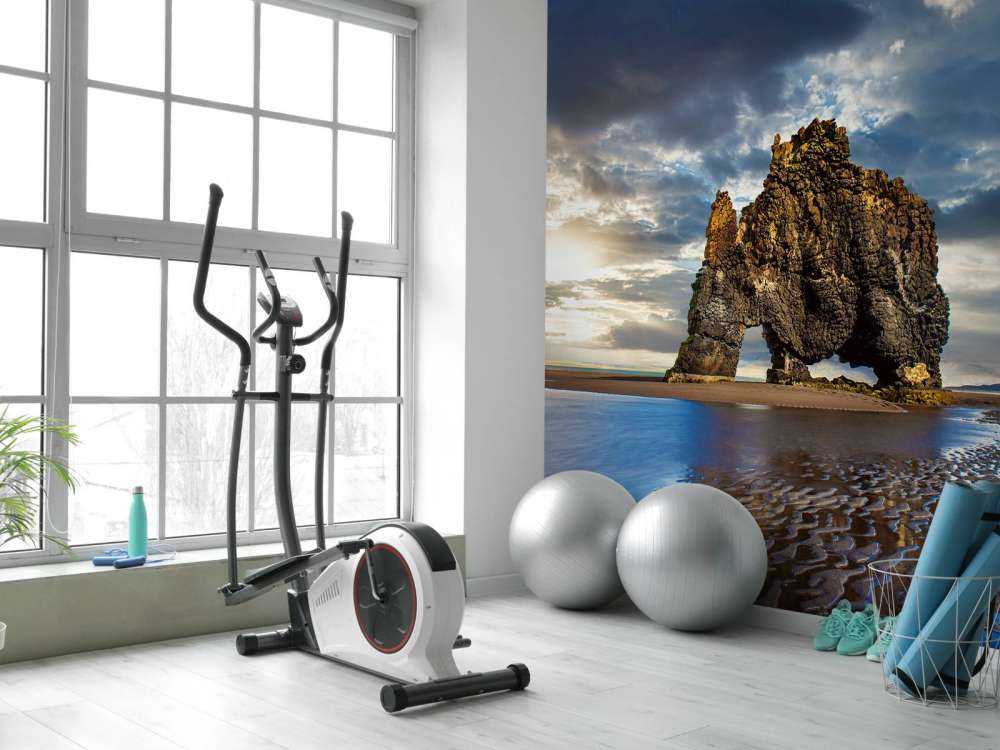 Hvítserkur rots in IJsland