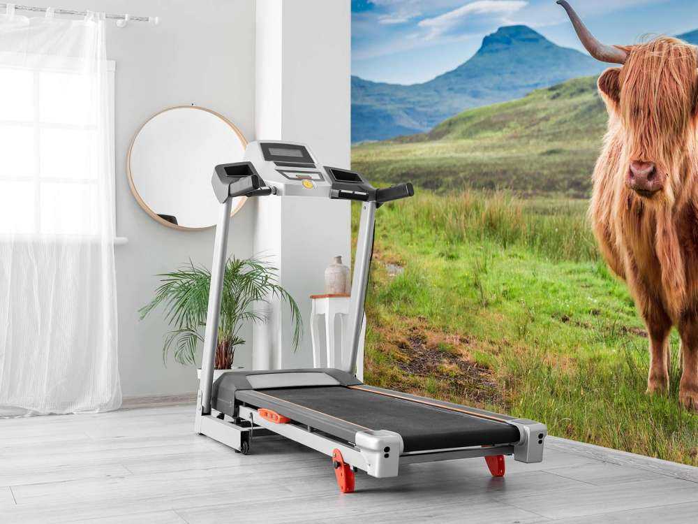 Schotse Hooglander in een berglandschap