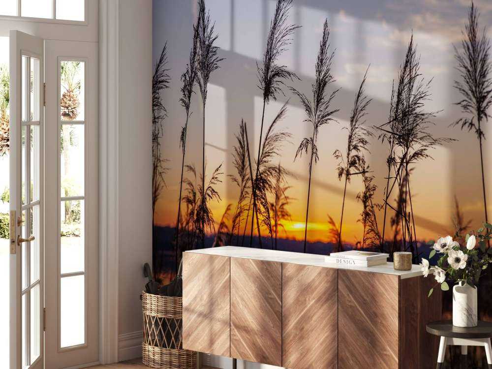 Rivier met riet bij zonsondergang