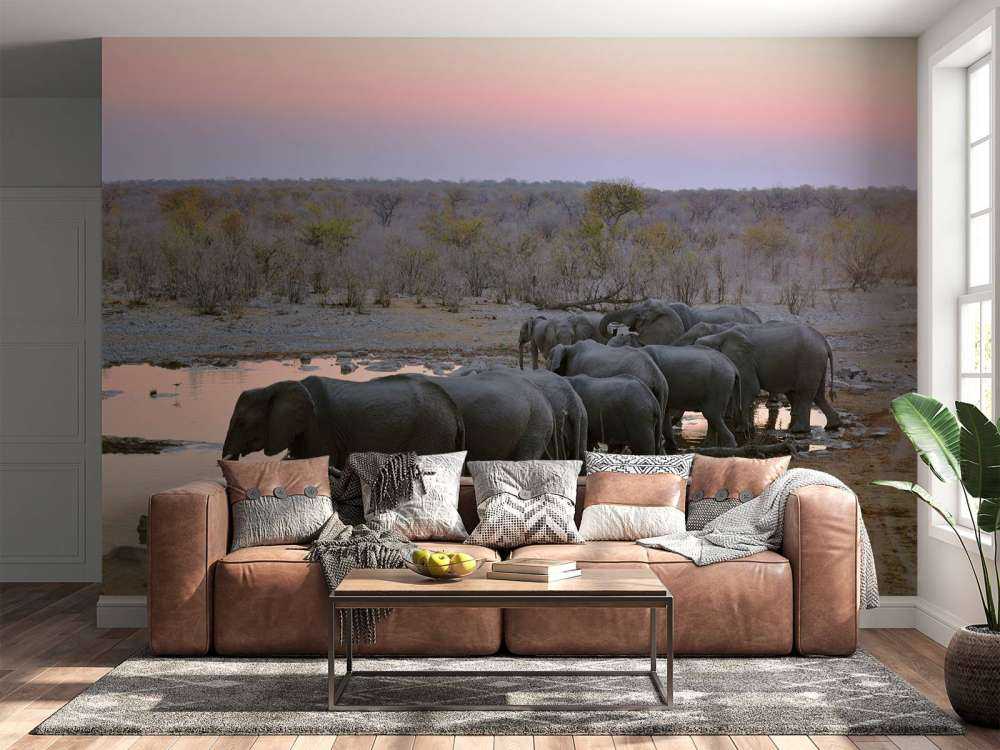 Olifanten langs het water