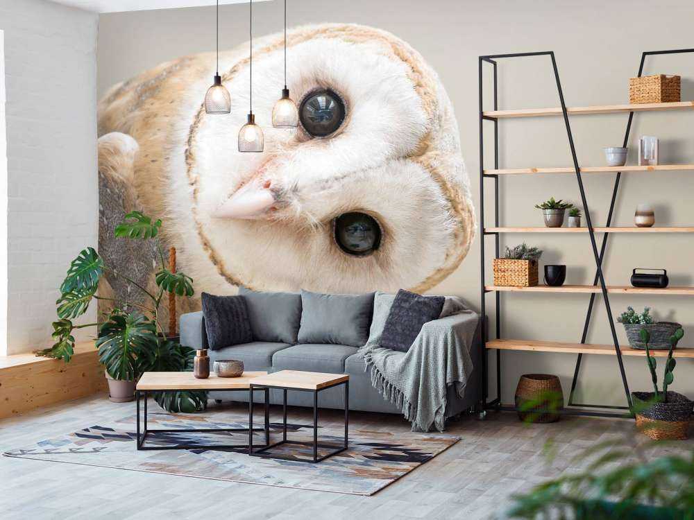 Uil met hoofd schuin