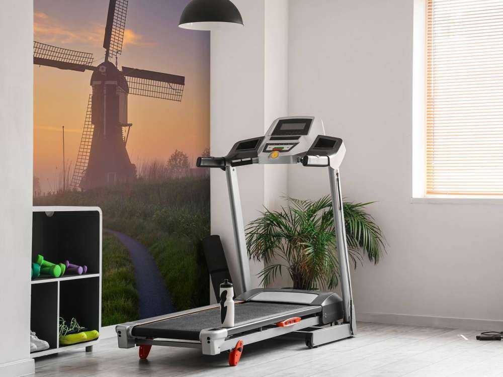 Molen bij zonsopgang