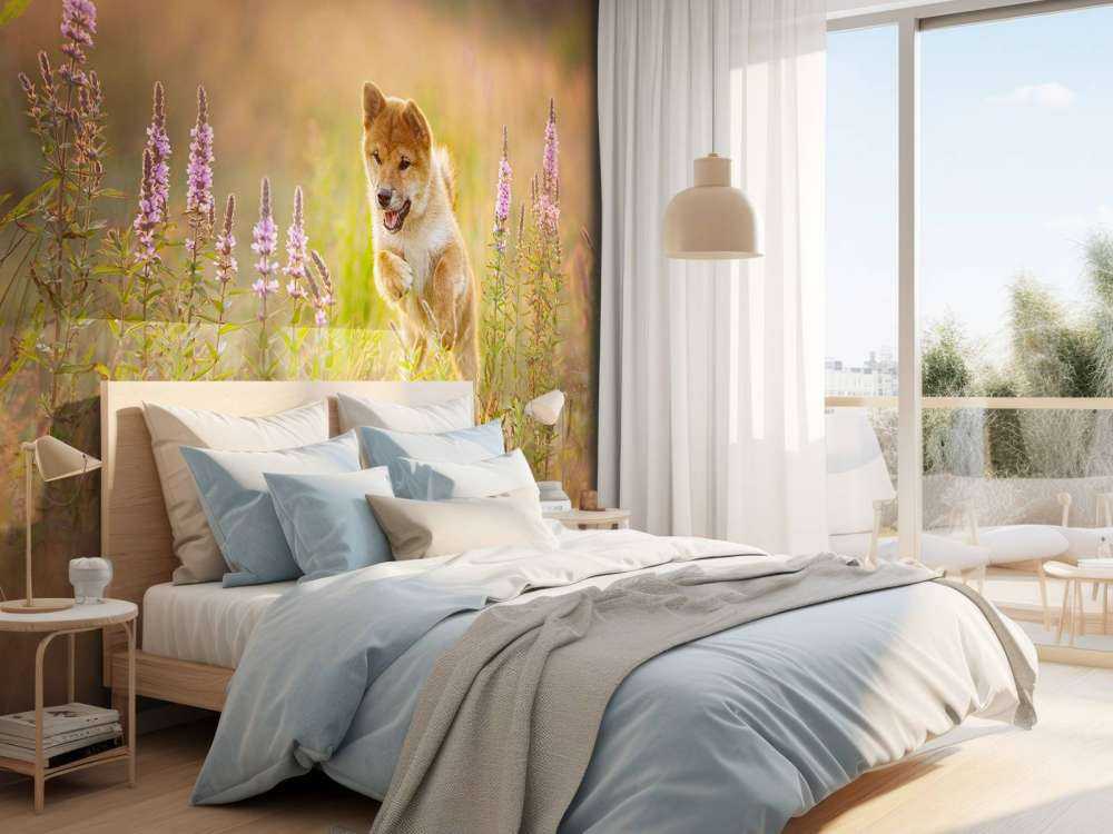 Shiba Inu in het veld