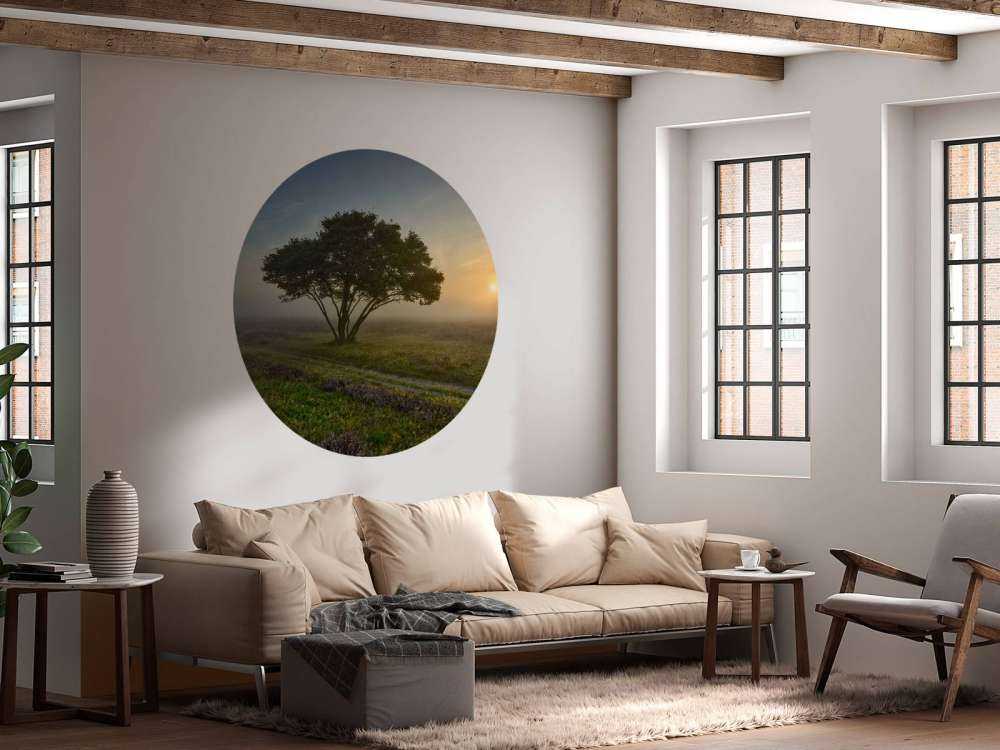 Zonsopkomst op de heide