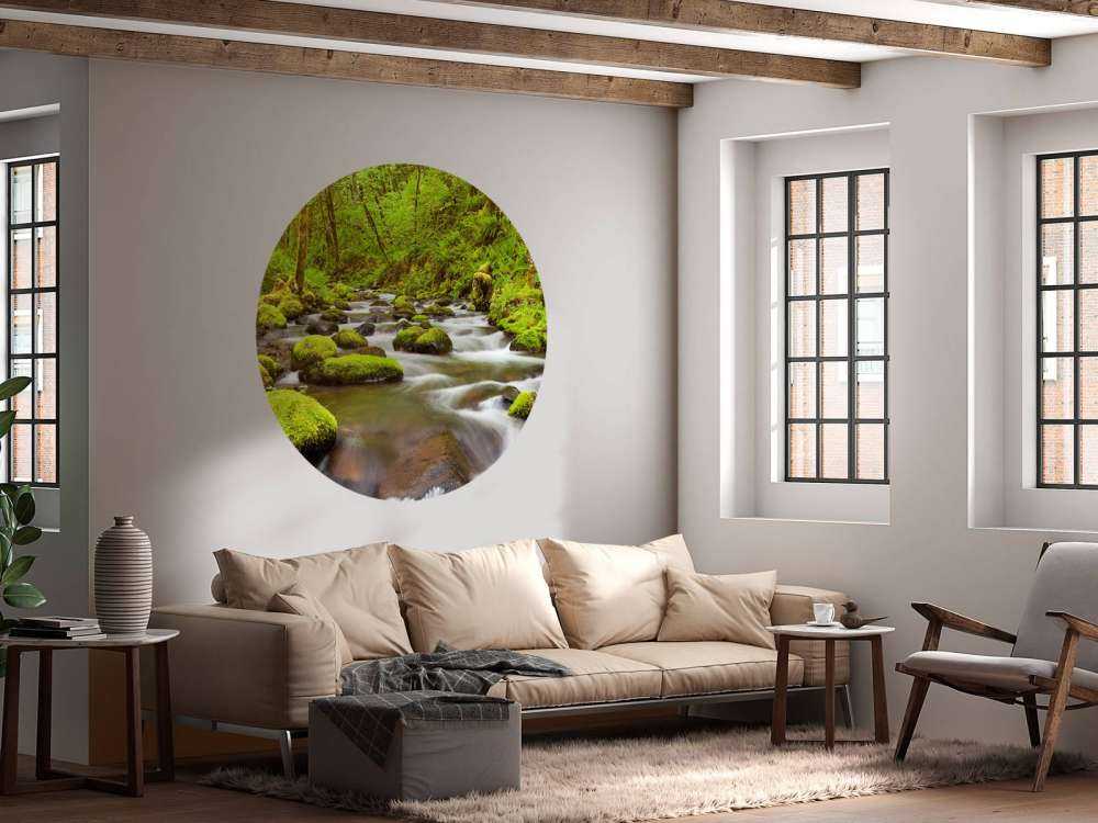 Rivier met veel stroming door het regenwoud