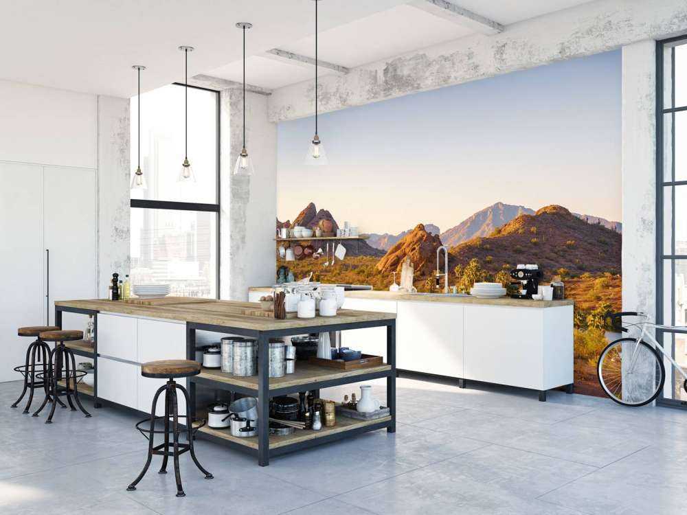 Woestijnlandschap met cactussen