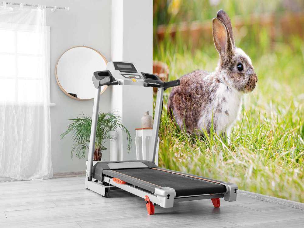 Schattig konijntje in een tuin