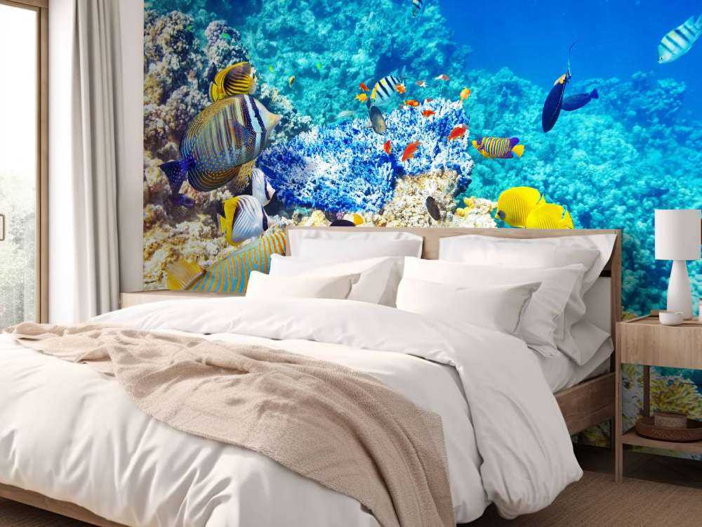 Exotische vissen in de oceaan