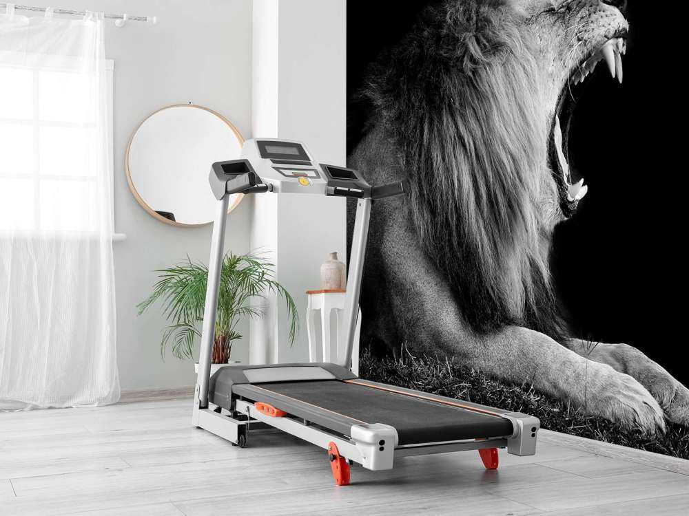 Gevaarlijke Leeuw op Zwarte Achtergrond