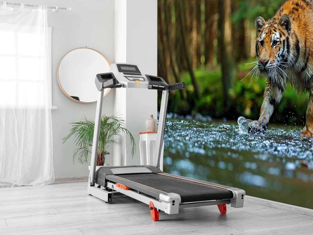 Tijger op een rivier