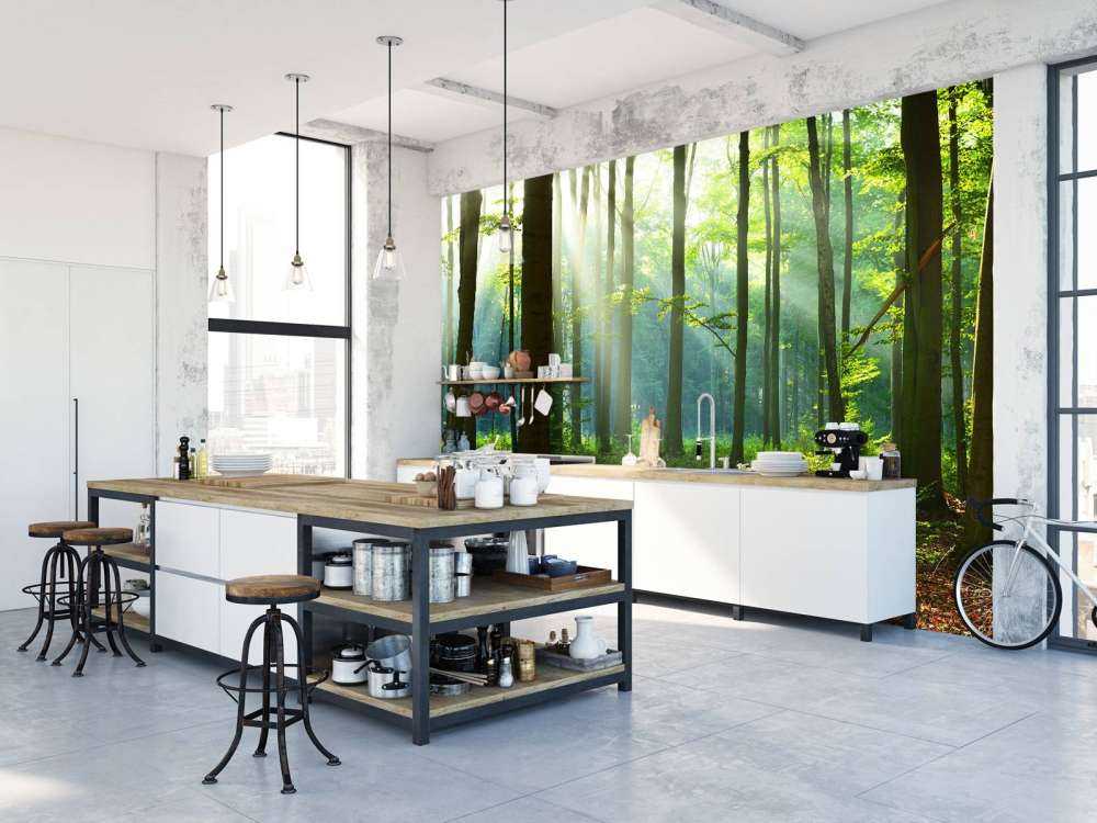 s Ochtends in het bos