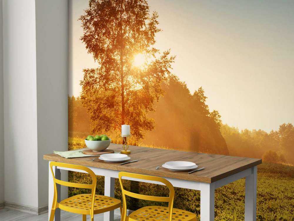 Weiland bij zonsopkomst