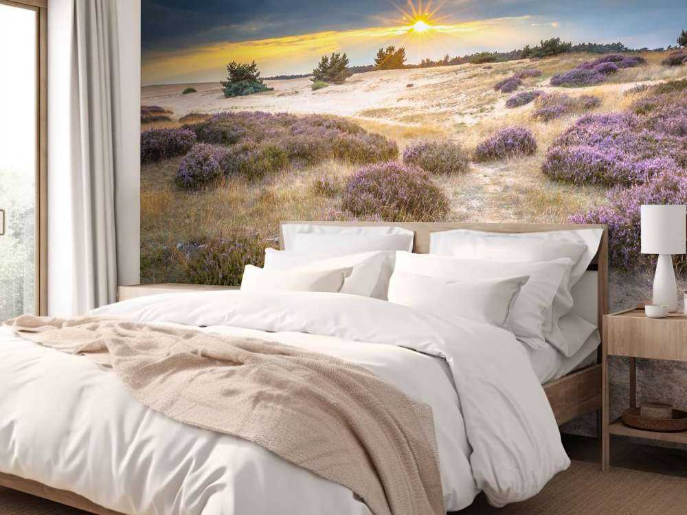 Zonsopkomst op de Veluwe