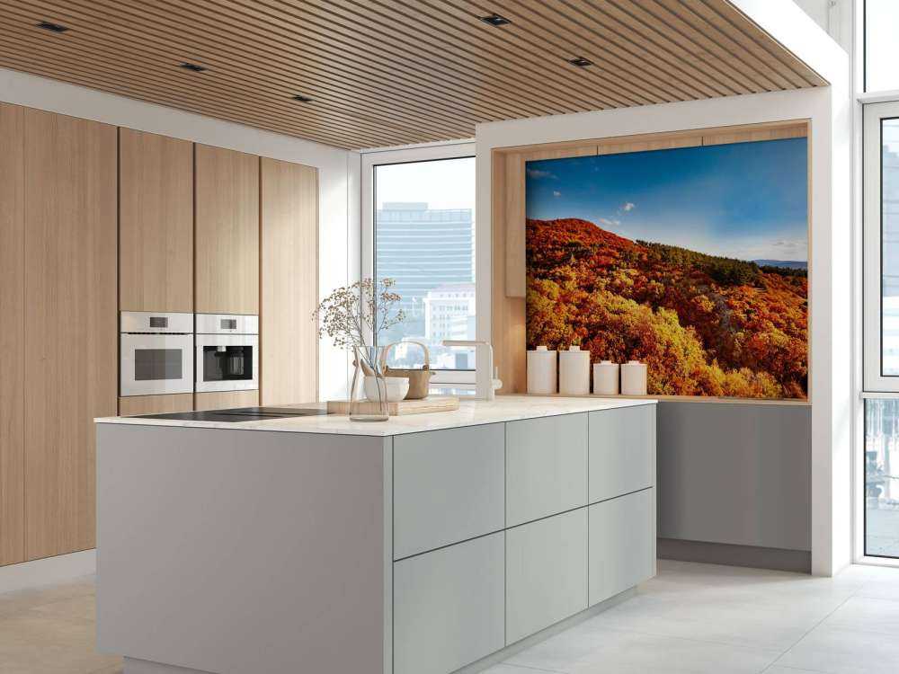 Landschap met gekleurde bomen