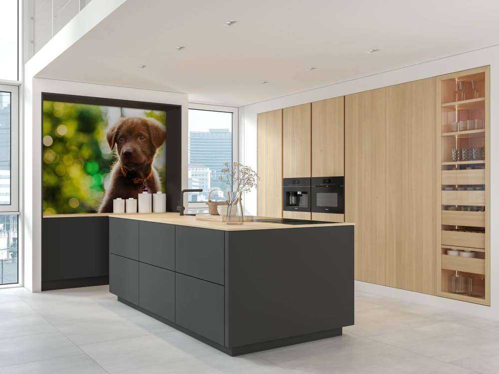 Bruine labrador met een wazige achtergrond