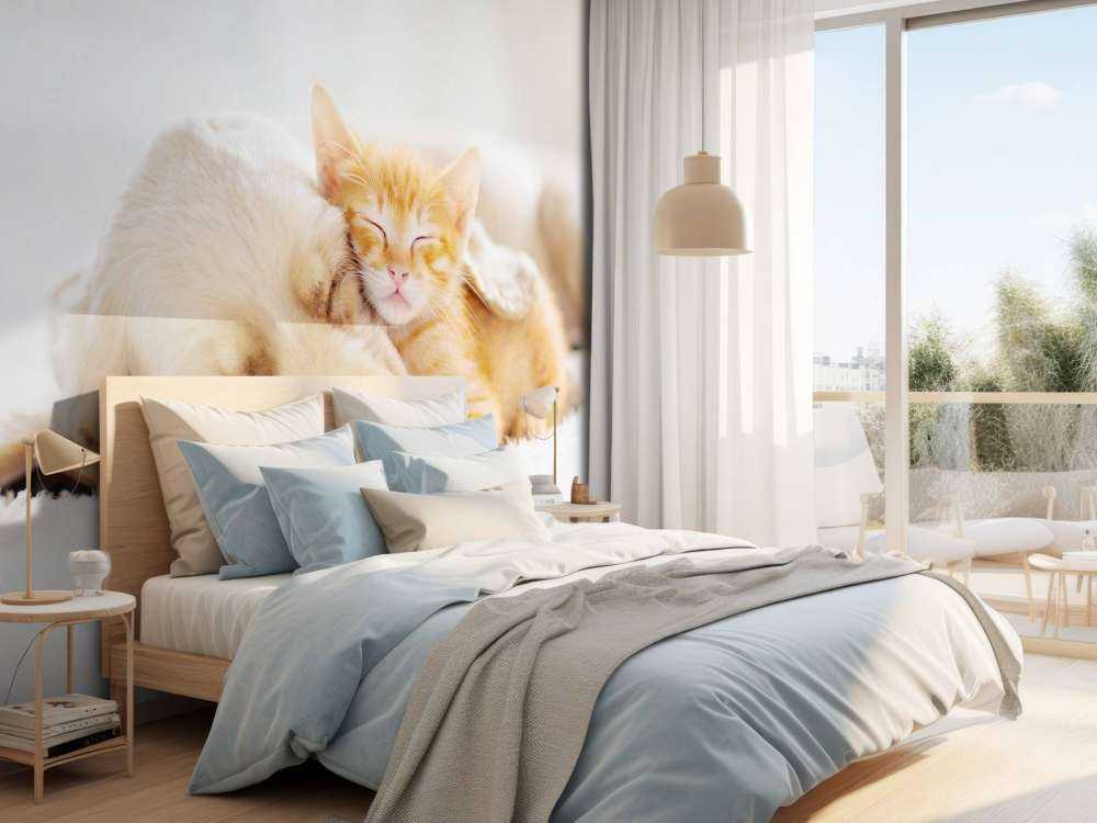 Hond en kat slapen knuffelend