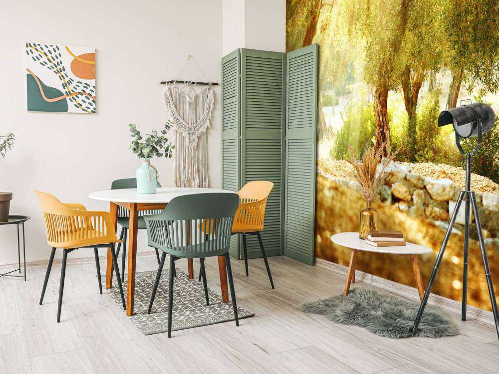 Mediterrane Olijven Boomgaard