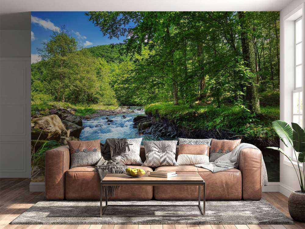 Stromende Rivier in het Bos in Zomer