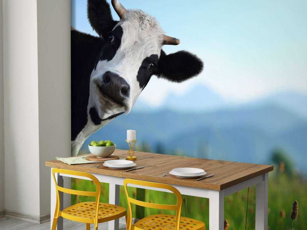 Grappige koe met berg op achtergrond