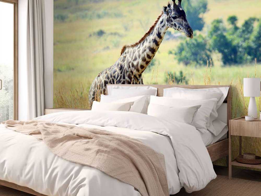 Lichte Giraffe in de natuur