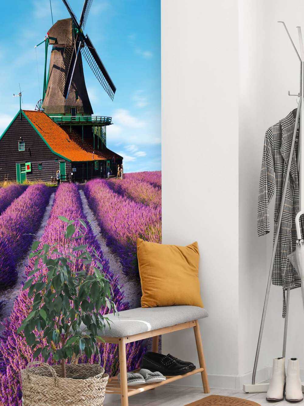 Lavendel veld met Windmolen op Achtergrond