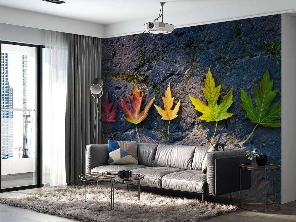 Kleurrijke bladeren in de herfst