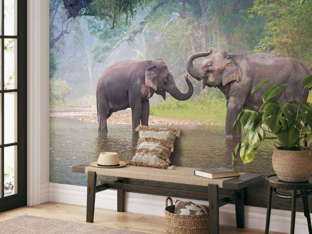 Aziatische olifanten in een rivier