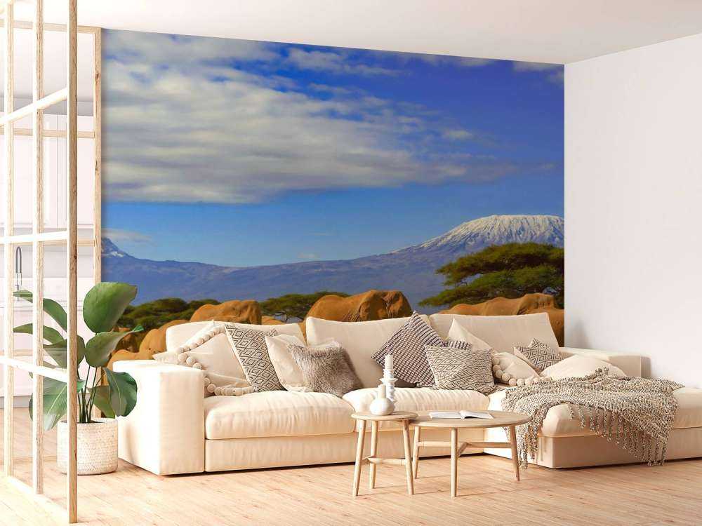 Olifanten met de Kilimanjaro berg op de achtergrond