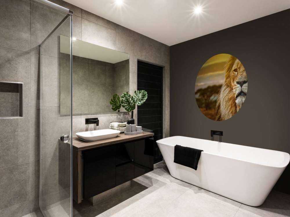 Leeuw in een savanne landschap