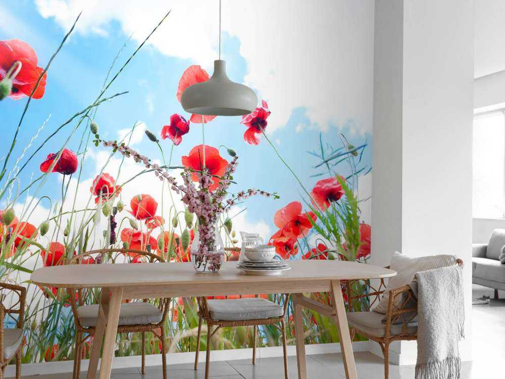 Klaprozen in het voorjaar