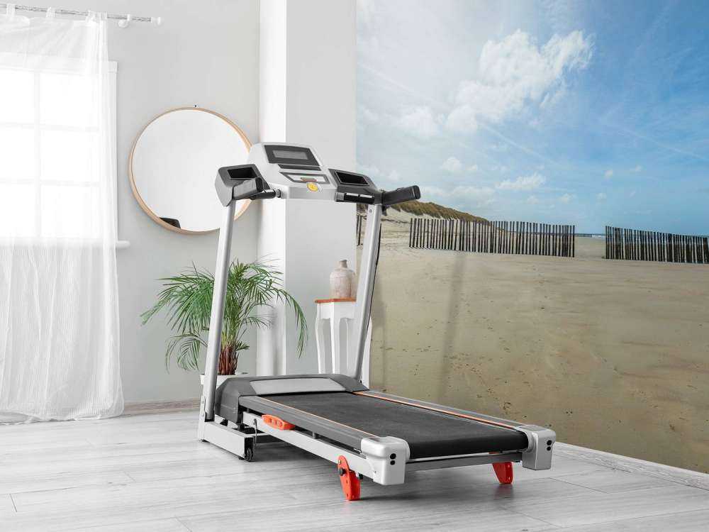 Paalhoofden bij het strand