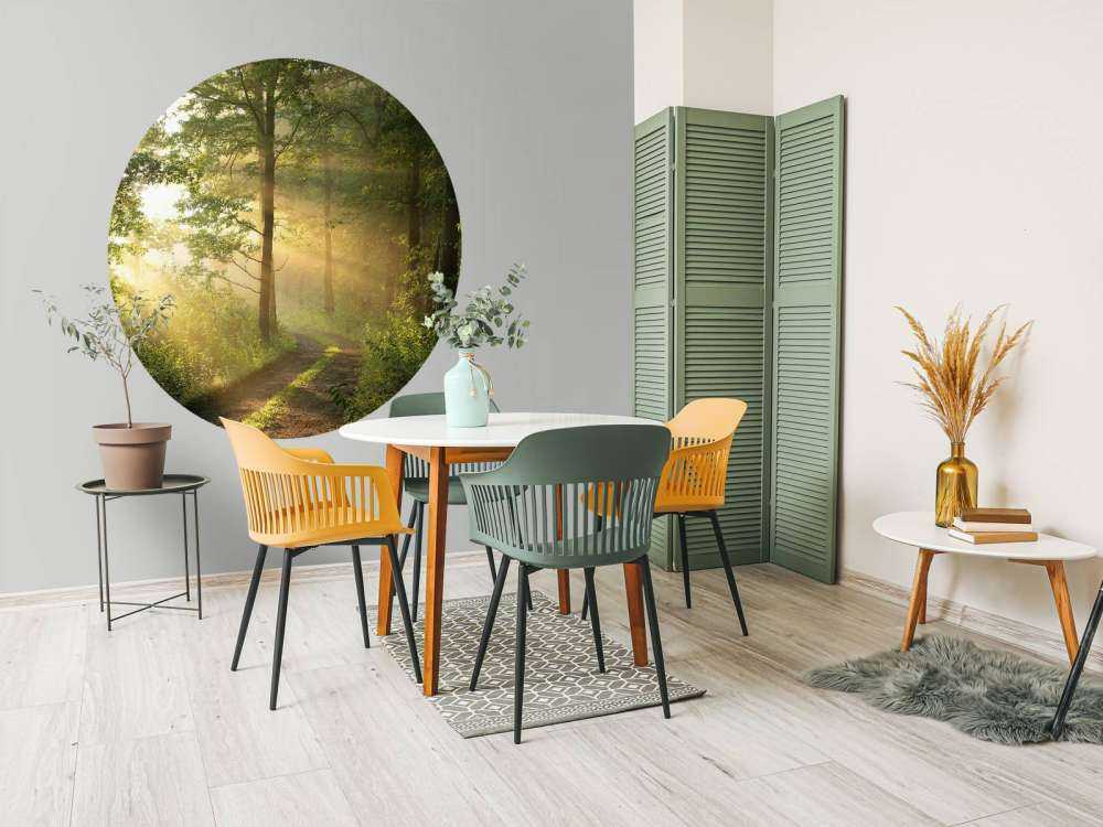 Mistige bosweg bij zonsopkomst