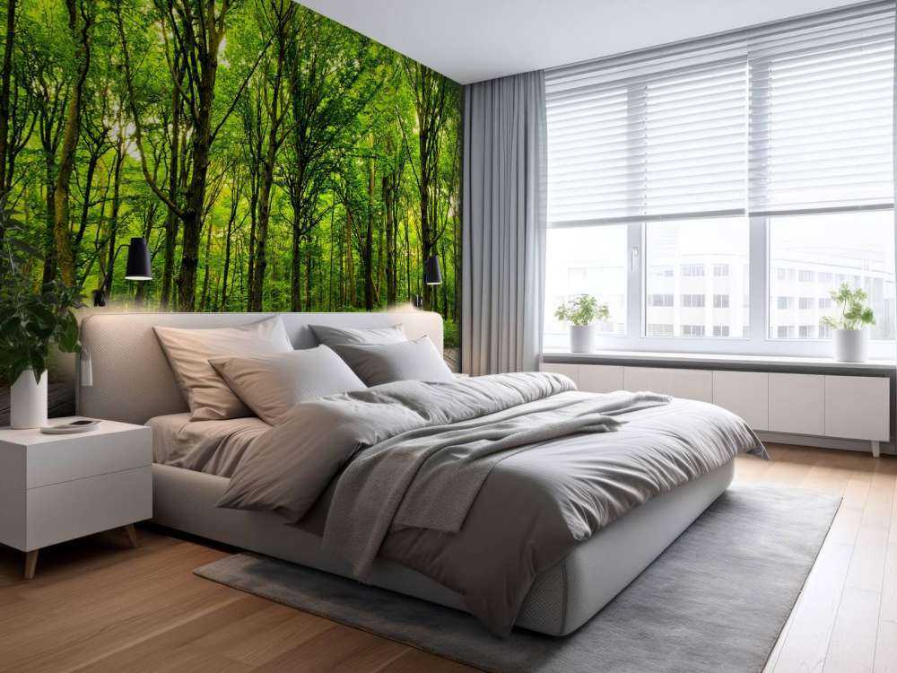 Zomers bos met doorkomend daglicht