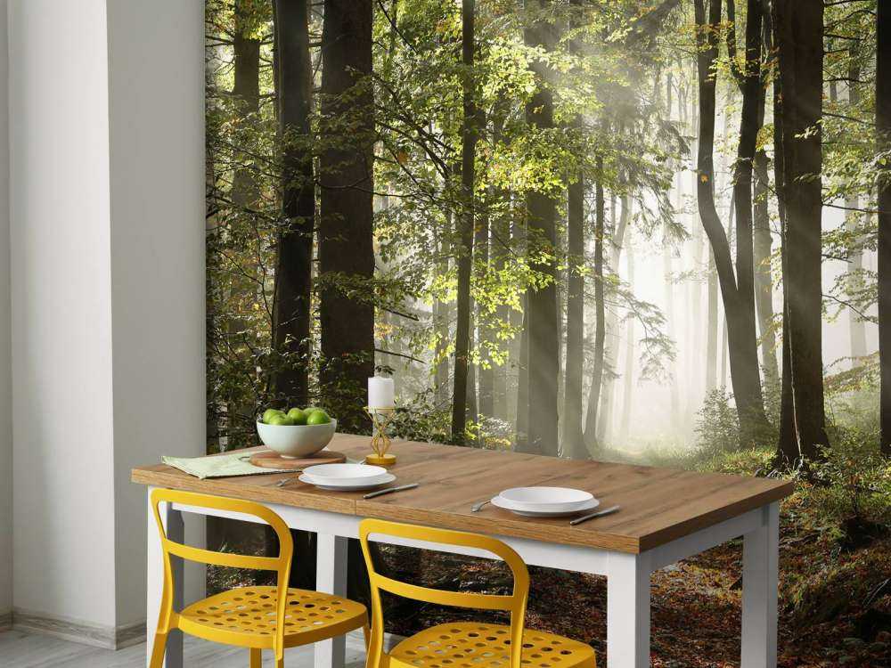 Mistig bos in de herfst