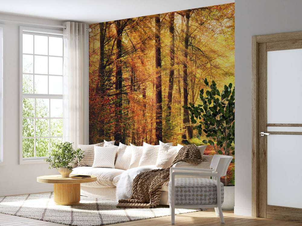 Zonsopkomst in het bos