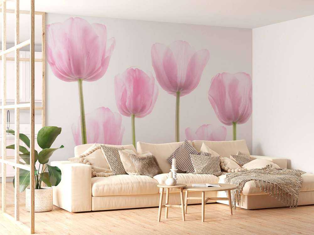 Mooie roze tulpen