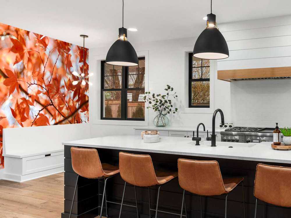 Kleurrijke herfstbladeren