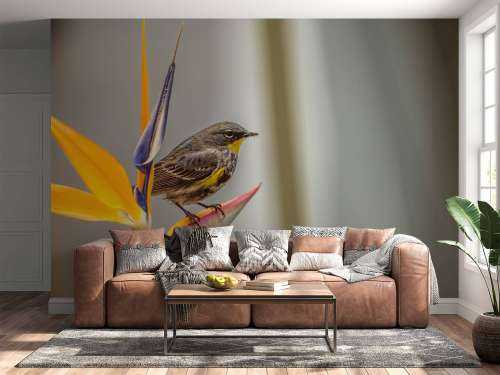Paradijsbloem met vogeltje
